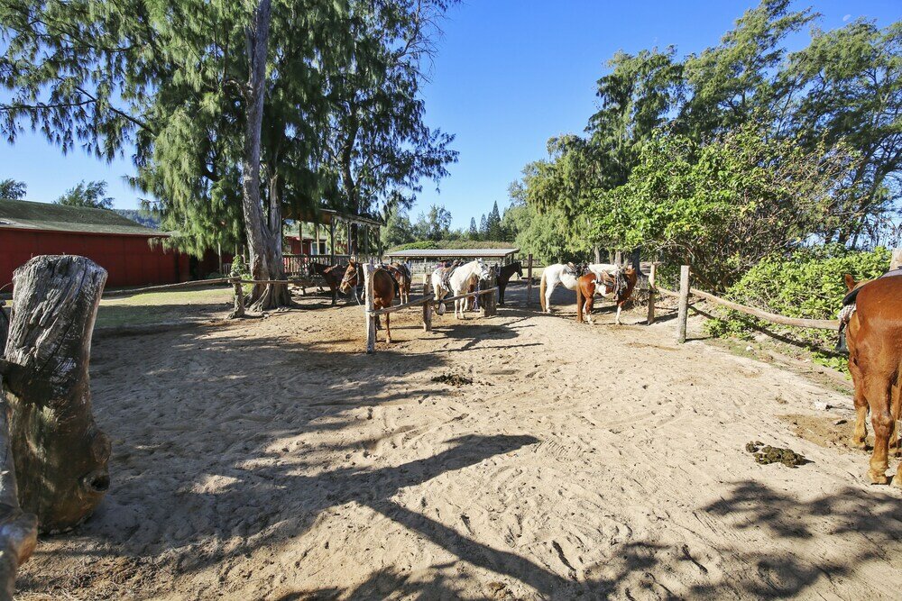 Фото Turtle Bay Bird Of Paradise ta-052128819201 2 Bedroom Condo by RedAwning