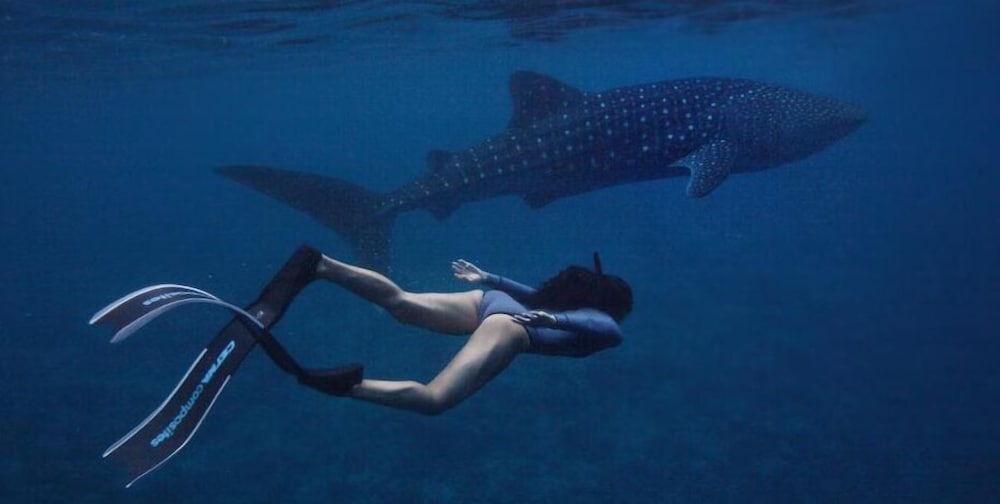 Фото White Sand Dhigurah