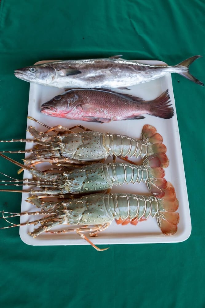 Фото Osaiba Beach Resort