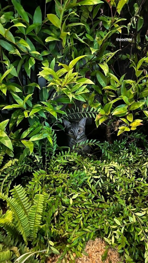 Фото The Park Society - Hostel