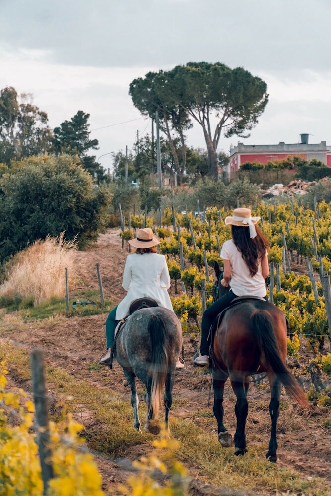 Фото Baglio Occhipinti