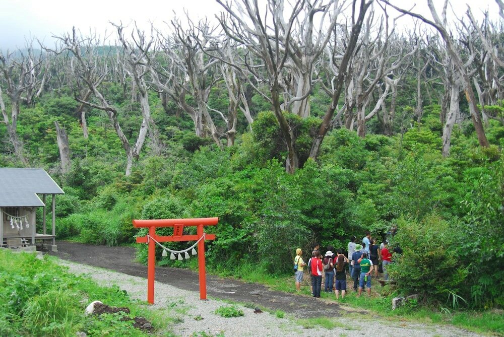 Фото Snapper inn