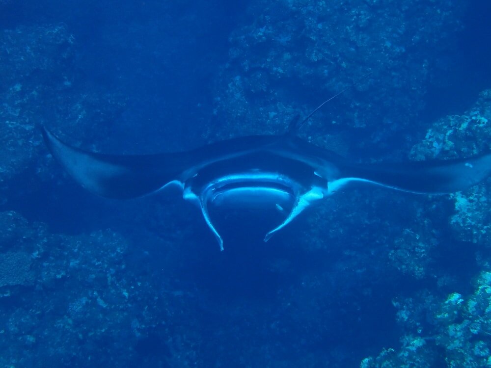 Фото Canaan Coffee & Hotel