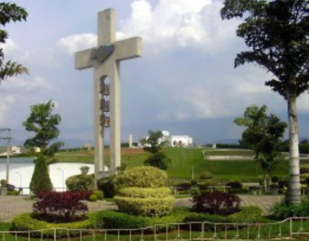 Фото Videiras Palace Hotel