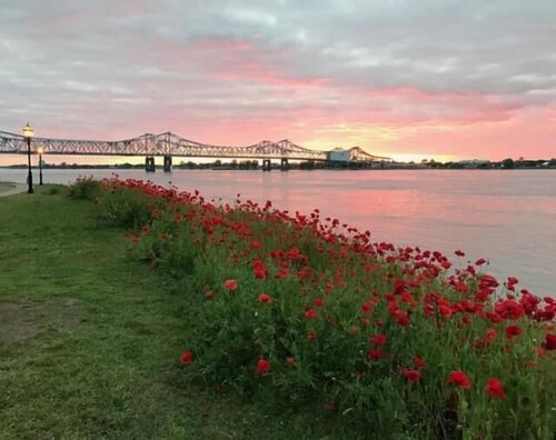 Гостиница Riverboat Bed & Breakfast в Натчезе