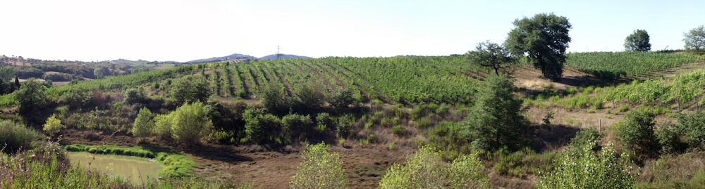 Фото Agriturismo Quarto Podere