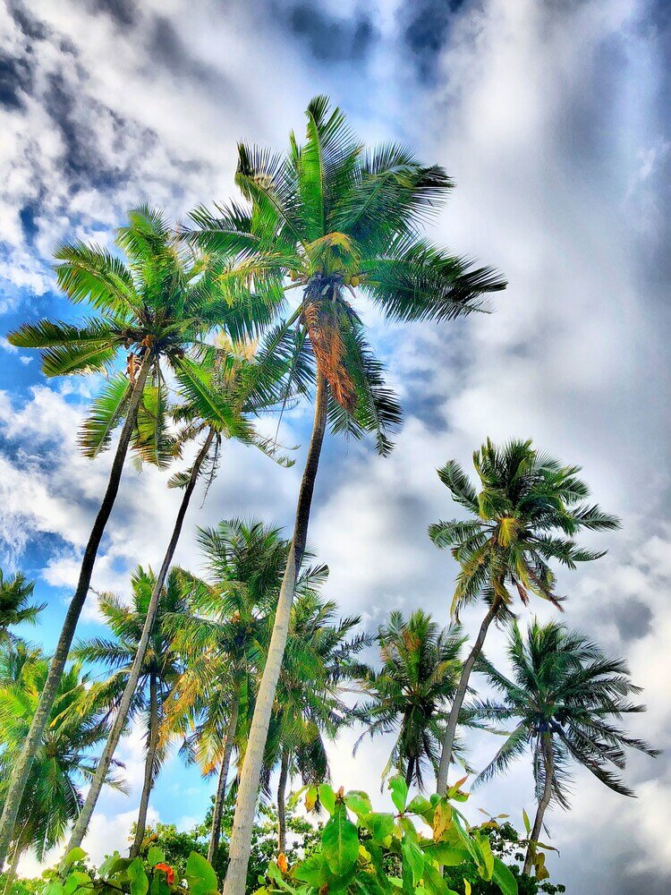 Фото Ocean Vibes Guesthouse