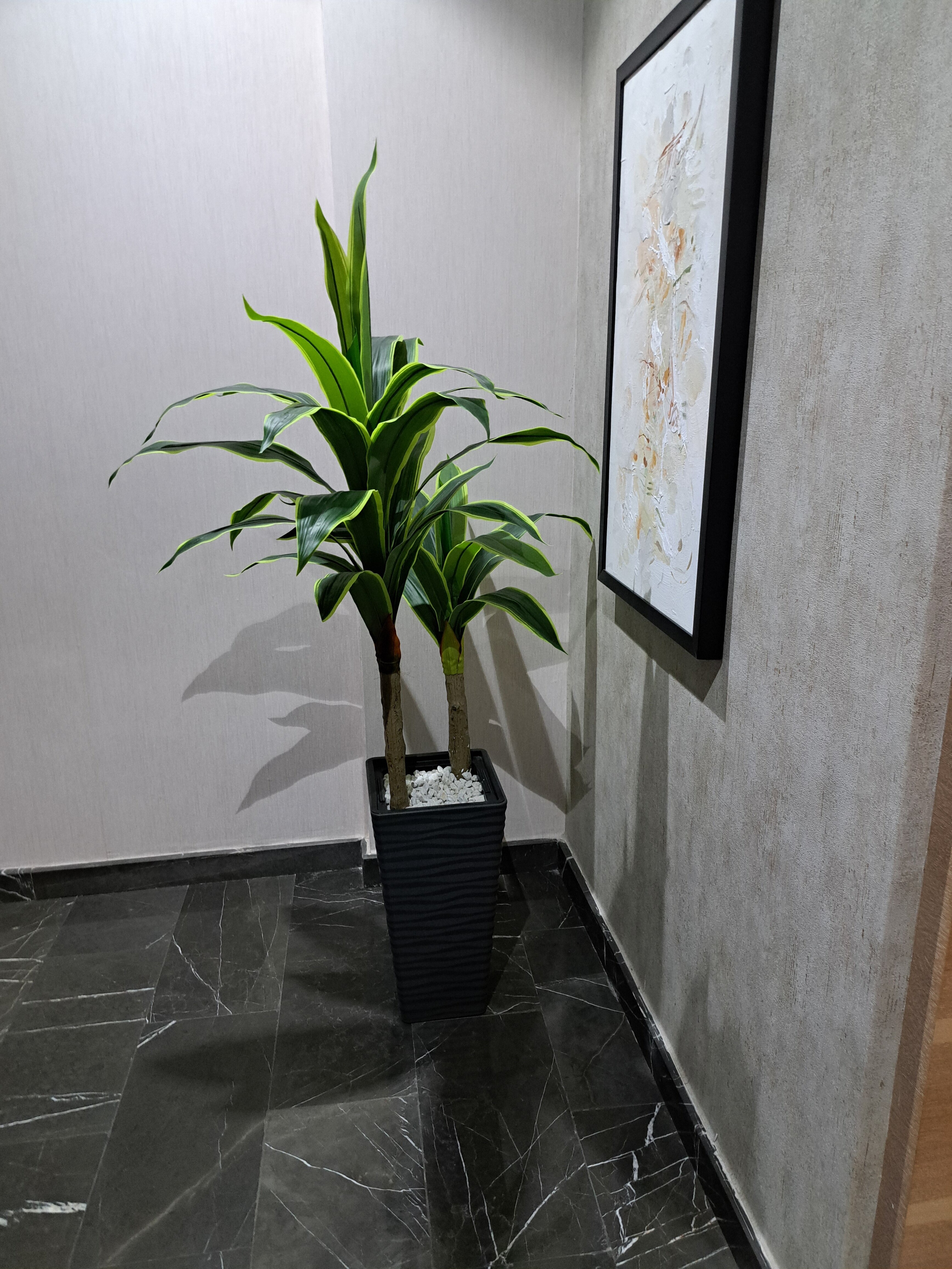 Фото Iris Hotel Baku