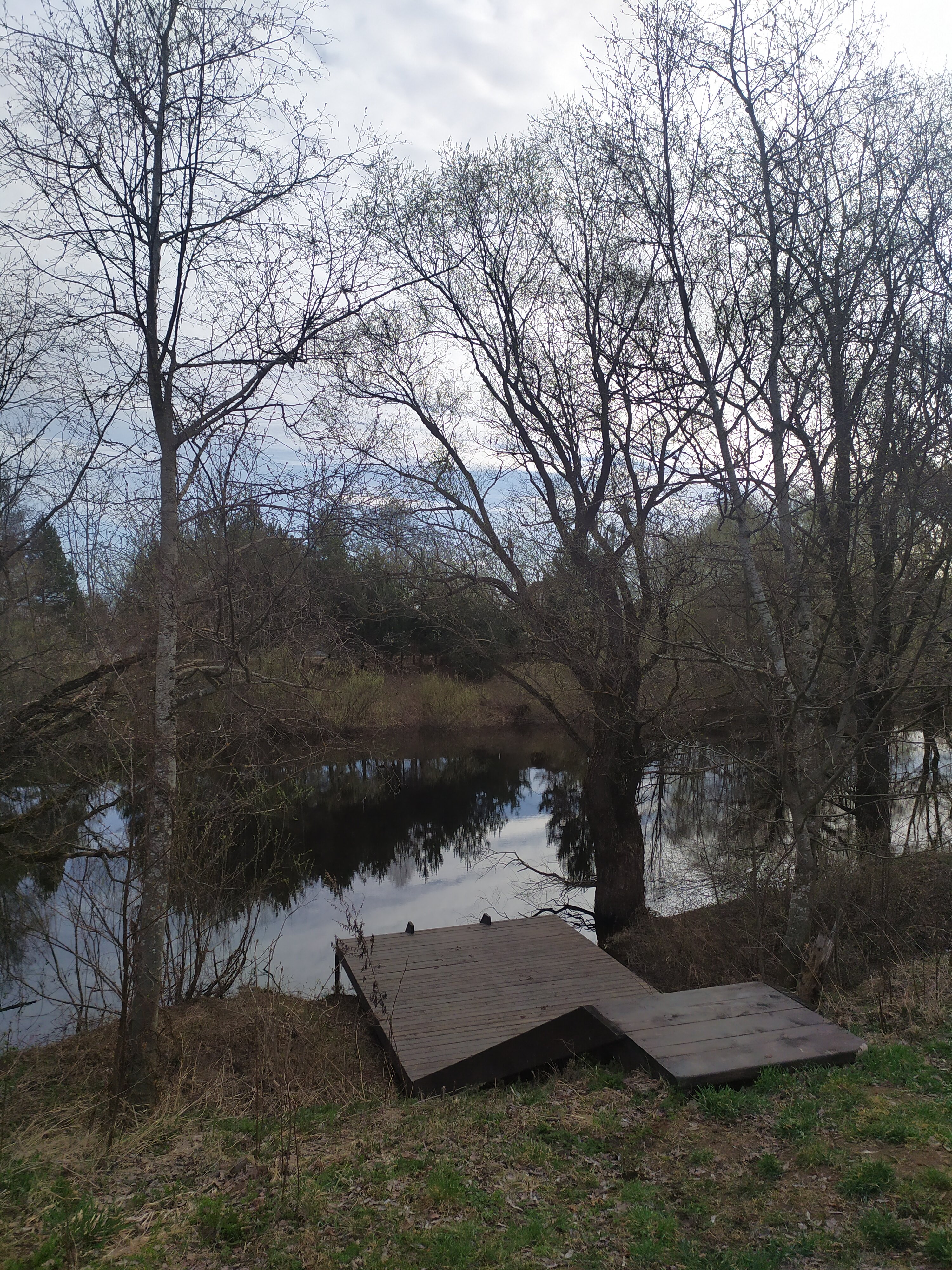 Фото Лес и луга