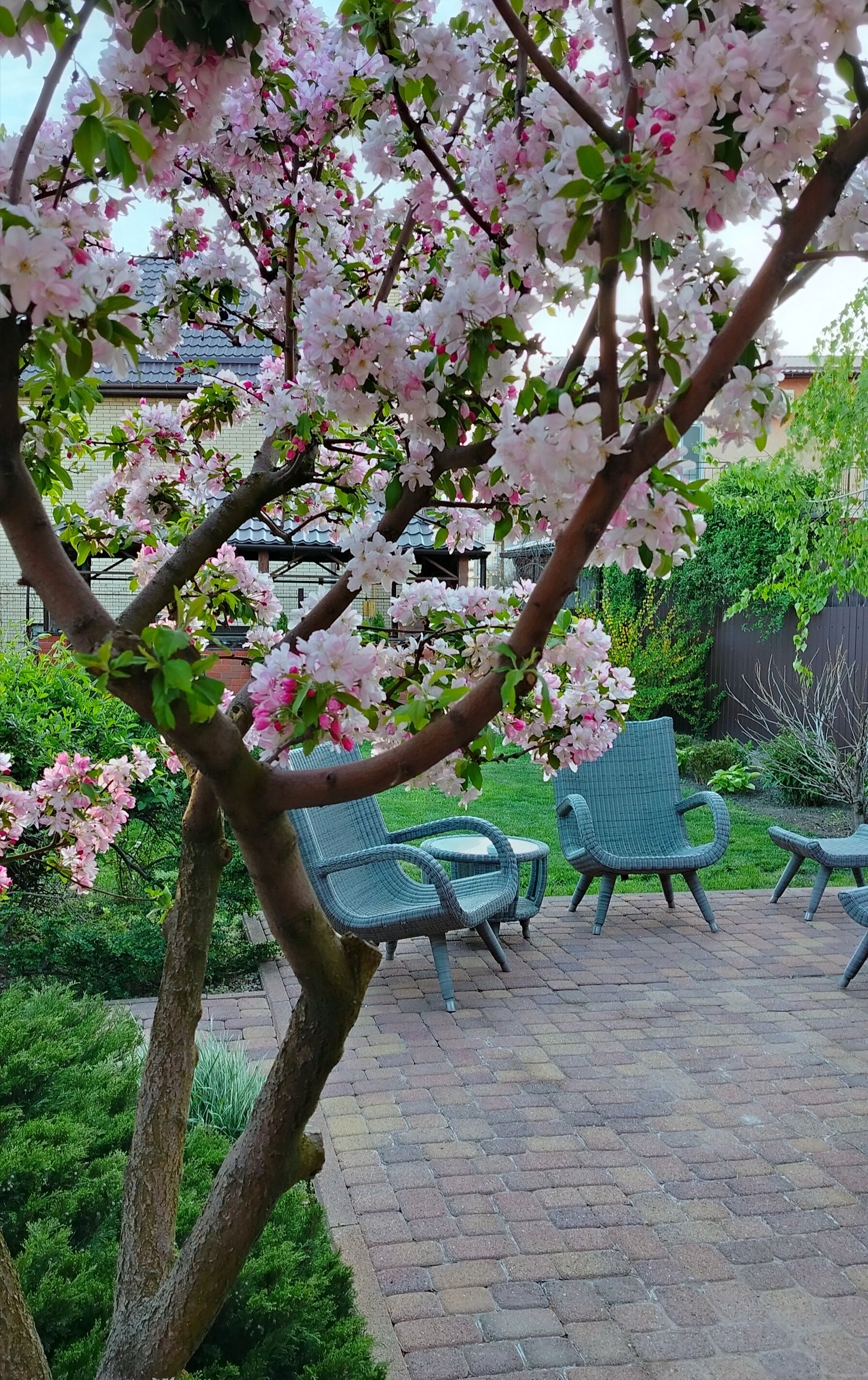 Фото Гостевой дом на Воина Шембелиди