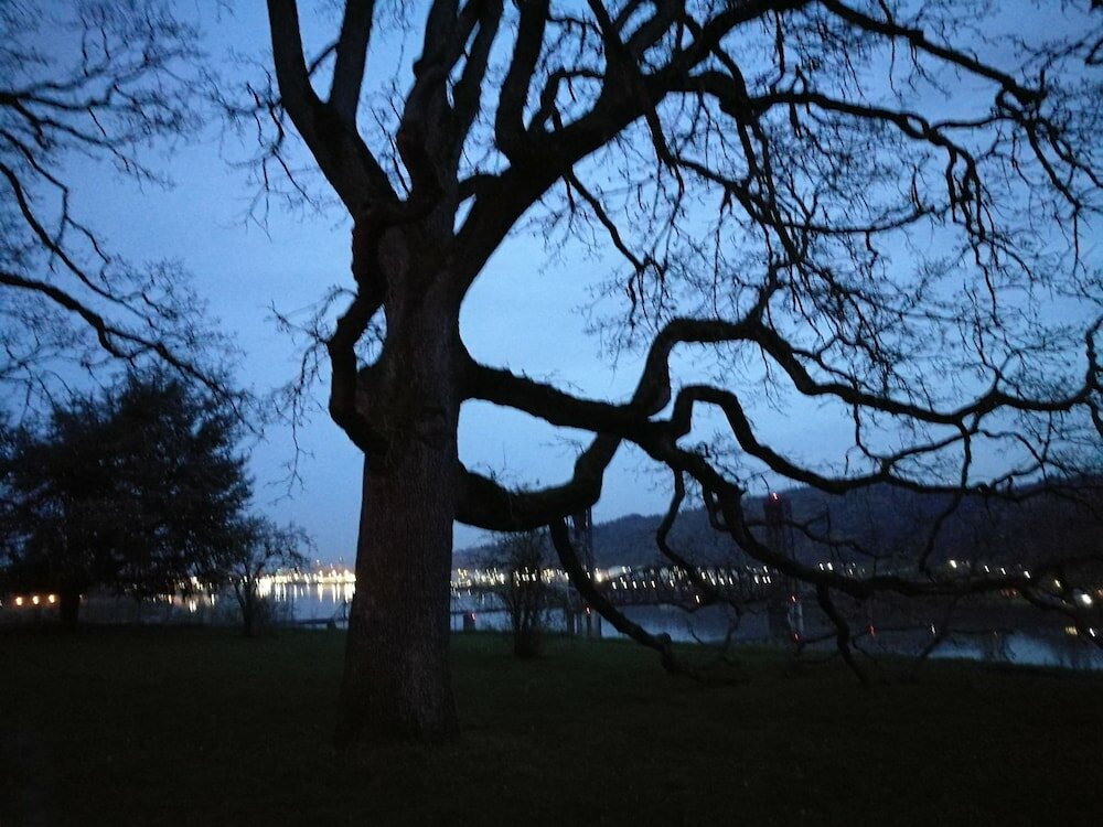 Фото St. Johns Inn