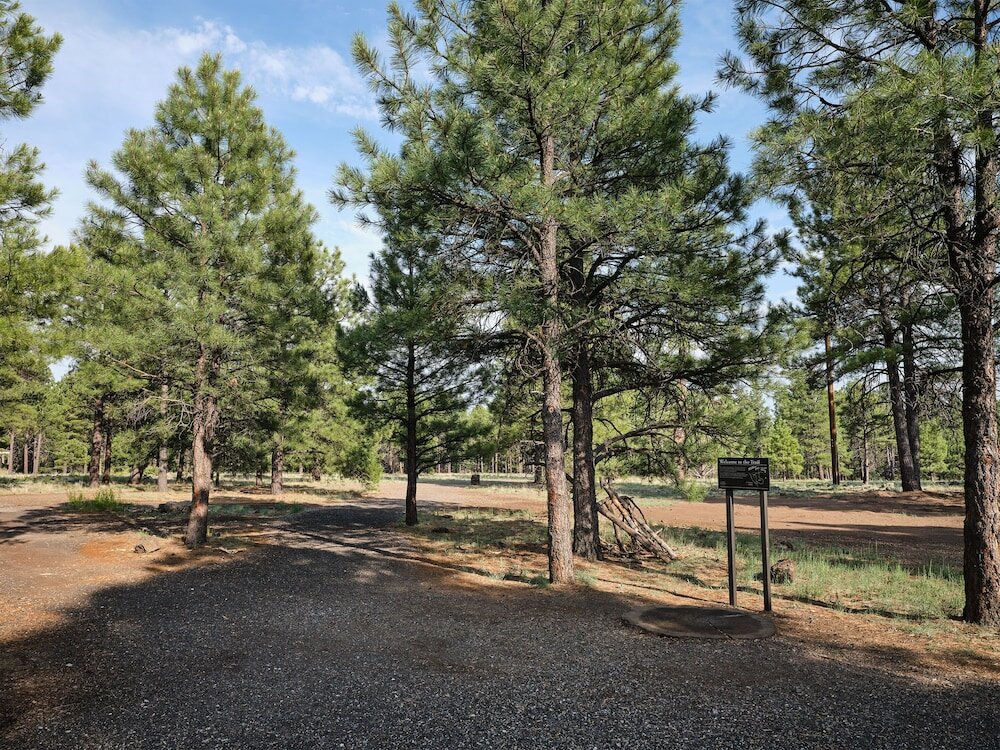 Фото Little America Flagstaff
