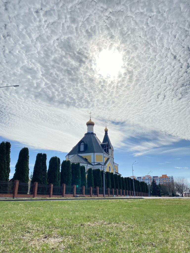 Православный храм Собор Успения Пресвятой Богородицы, Речица, фото