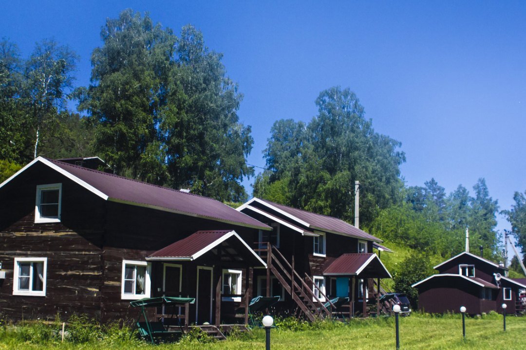 Фото Большие Коты