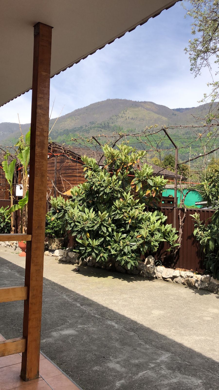 Фото Фазенда