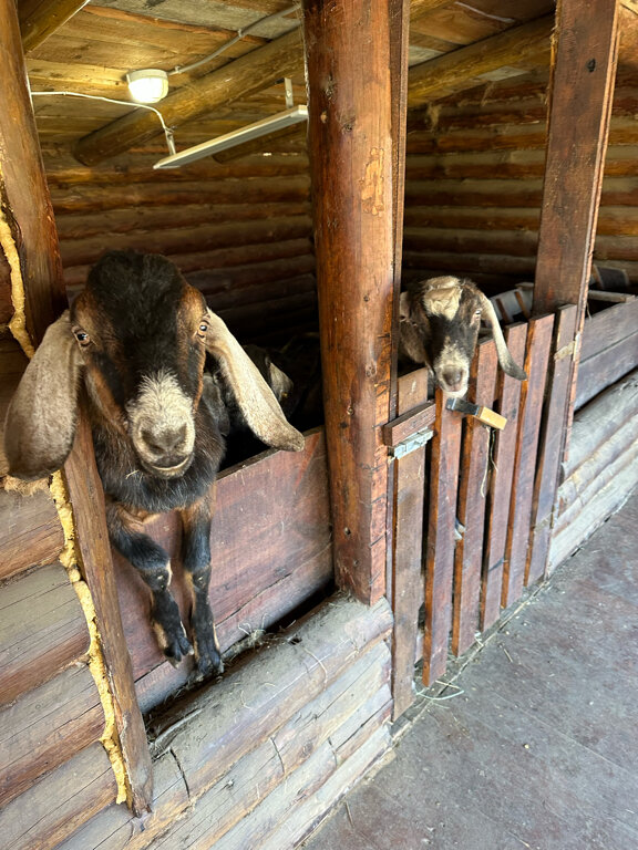 Фото Джао ДаЧа