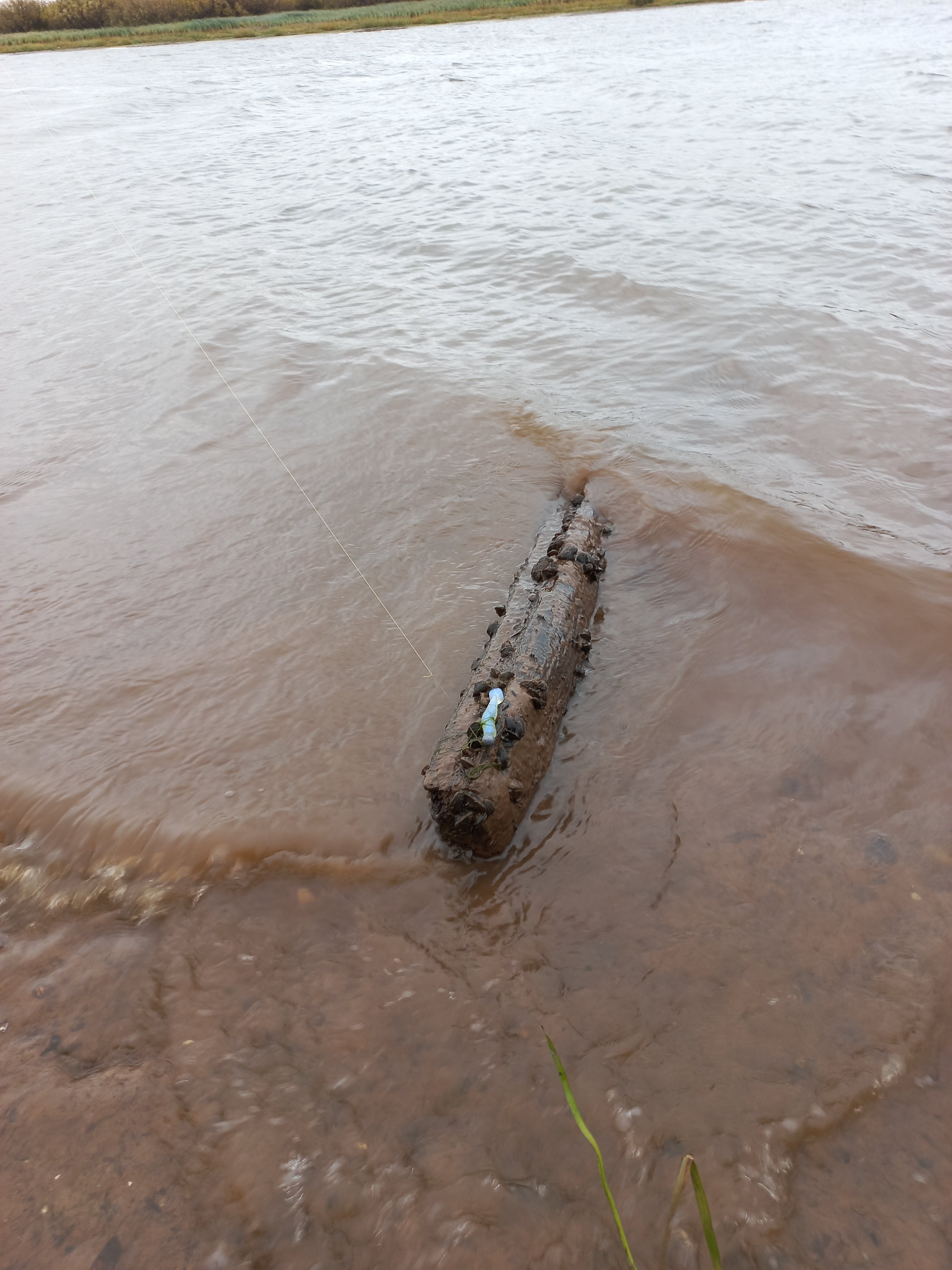 Фото Дом охотника и рыбака