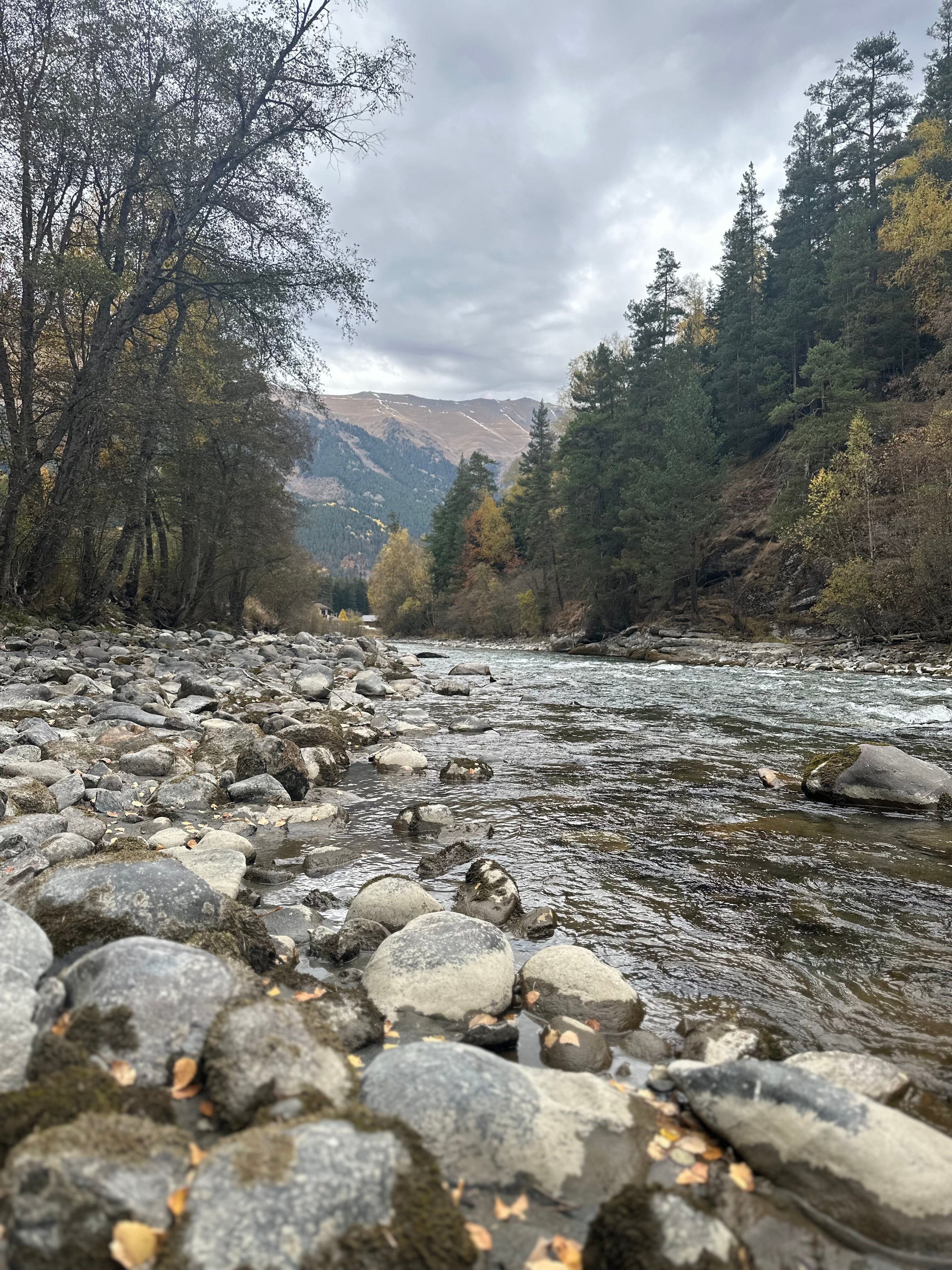 Фото Горы Village