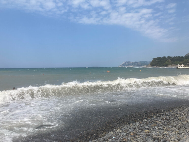 Фото Лесной дворик