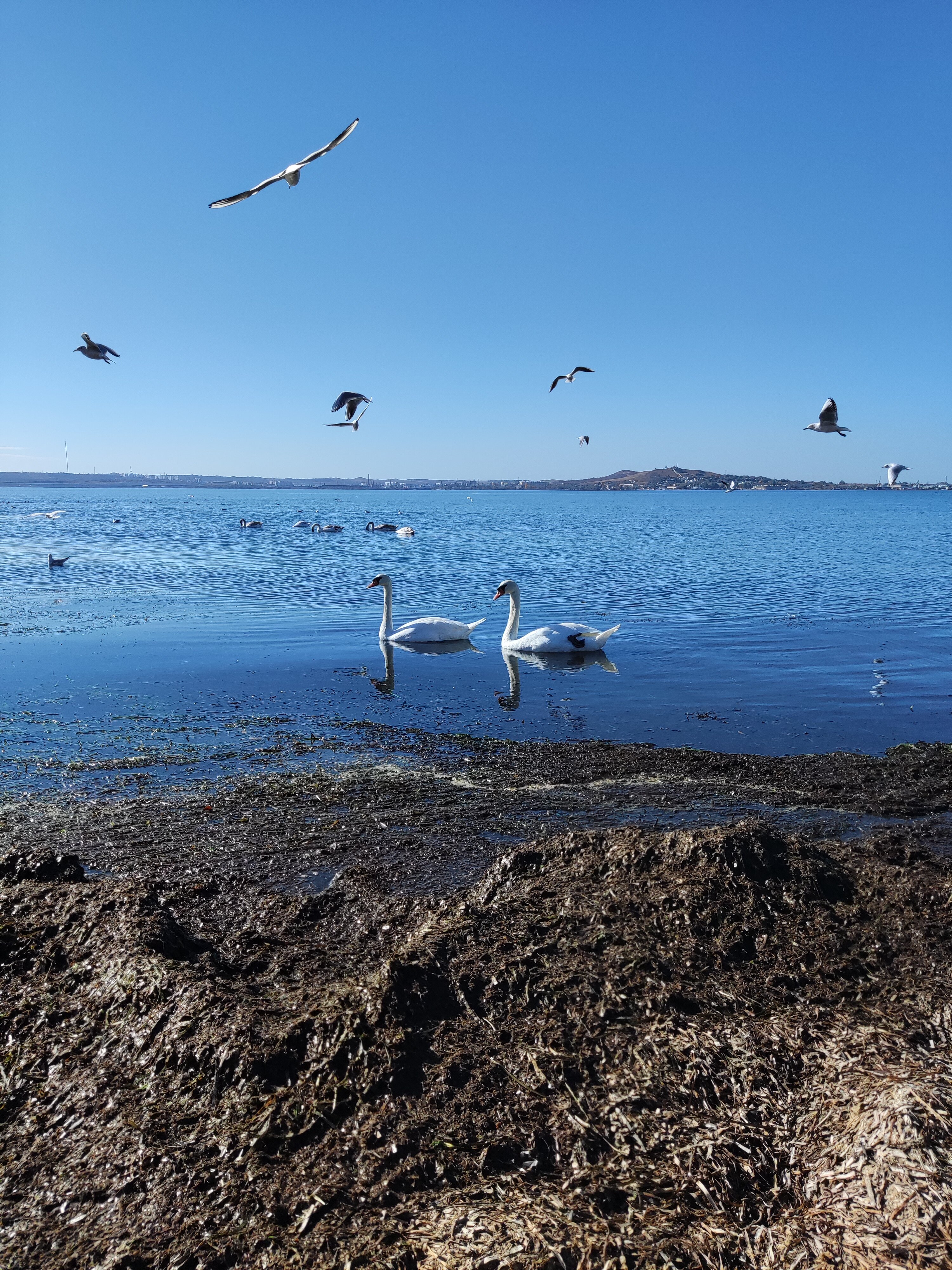 Фото Москва-Крым