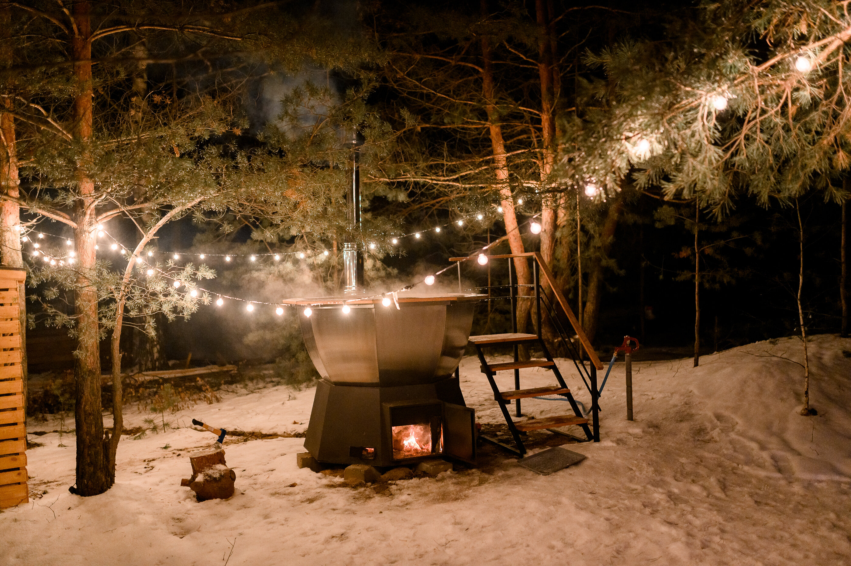 Фото Место под соснами