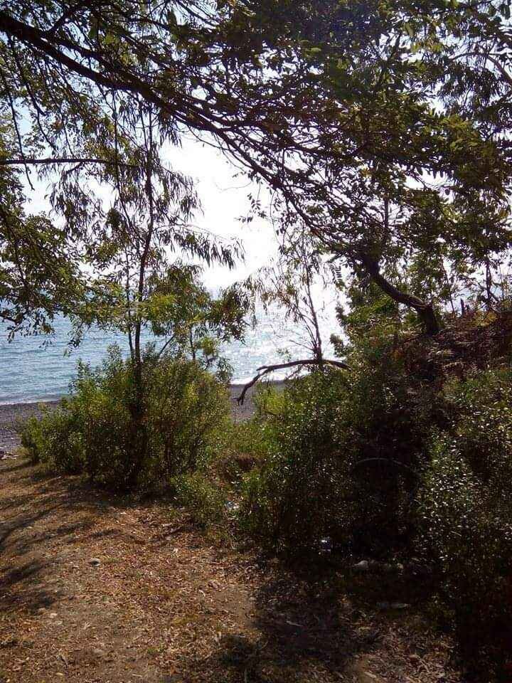 Фото Сказка