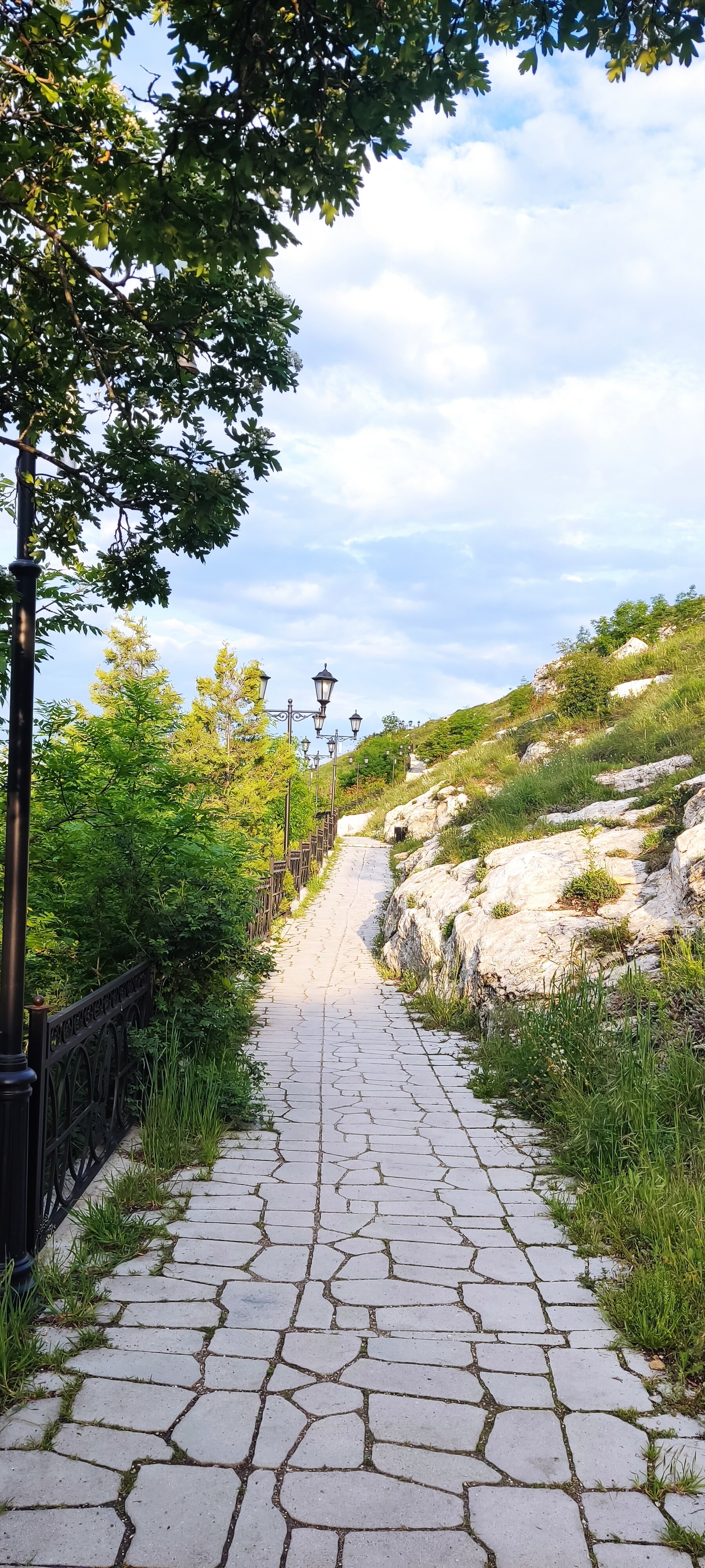 Фото Высота 550