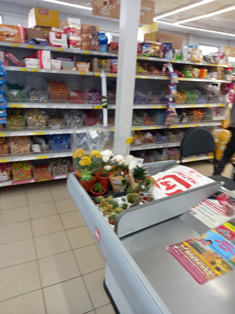 Магазин продуктов Магнит, Рязанская область, фото