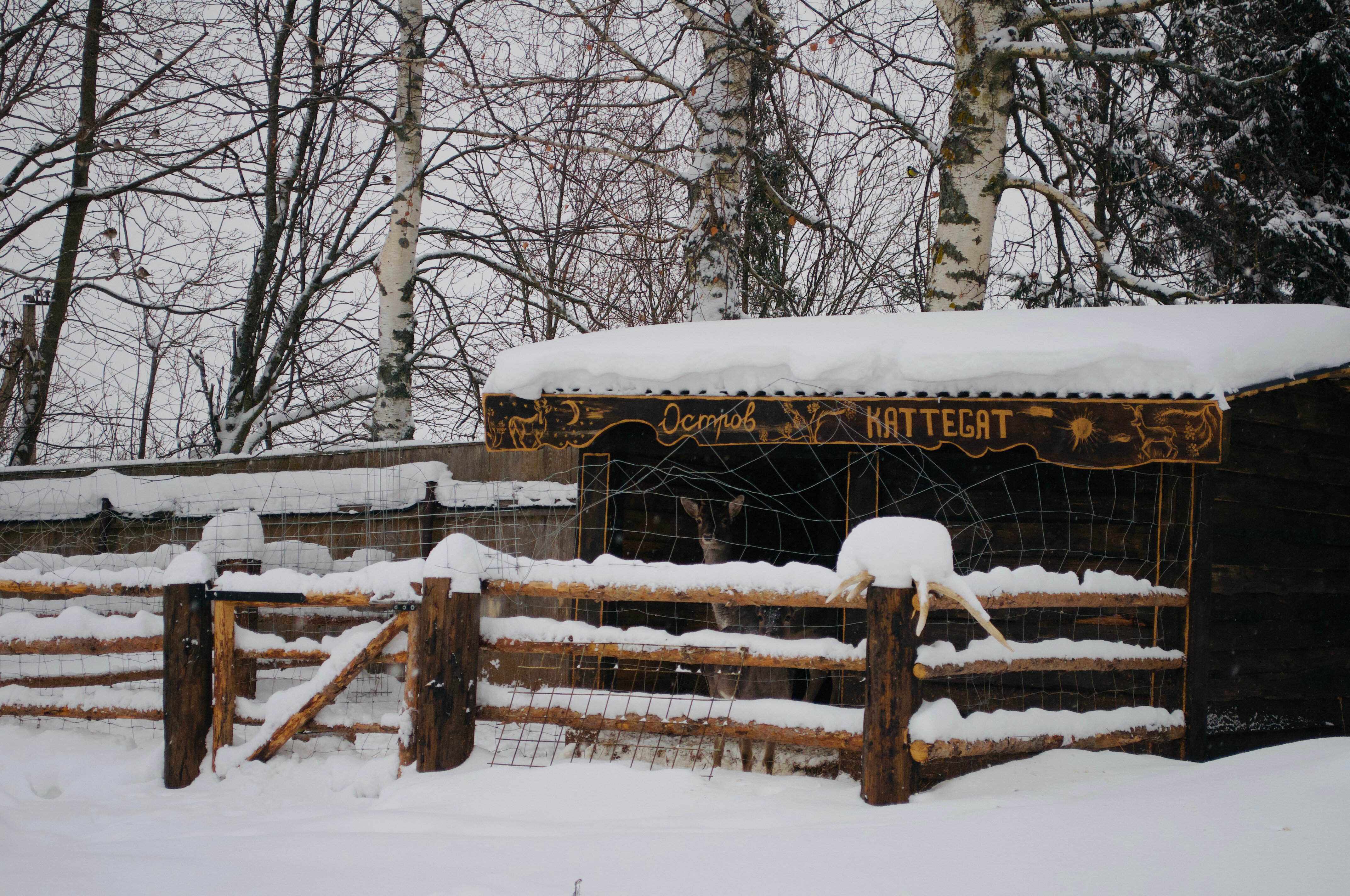 Фото Остров Kattegat
