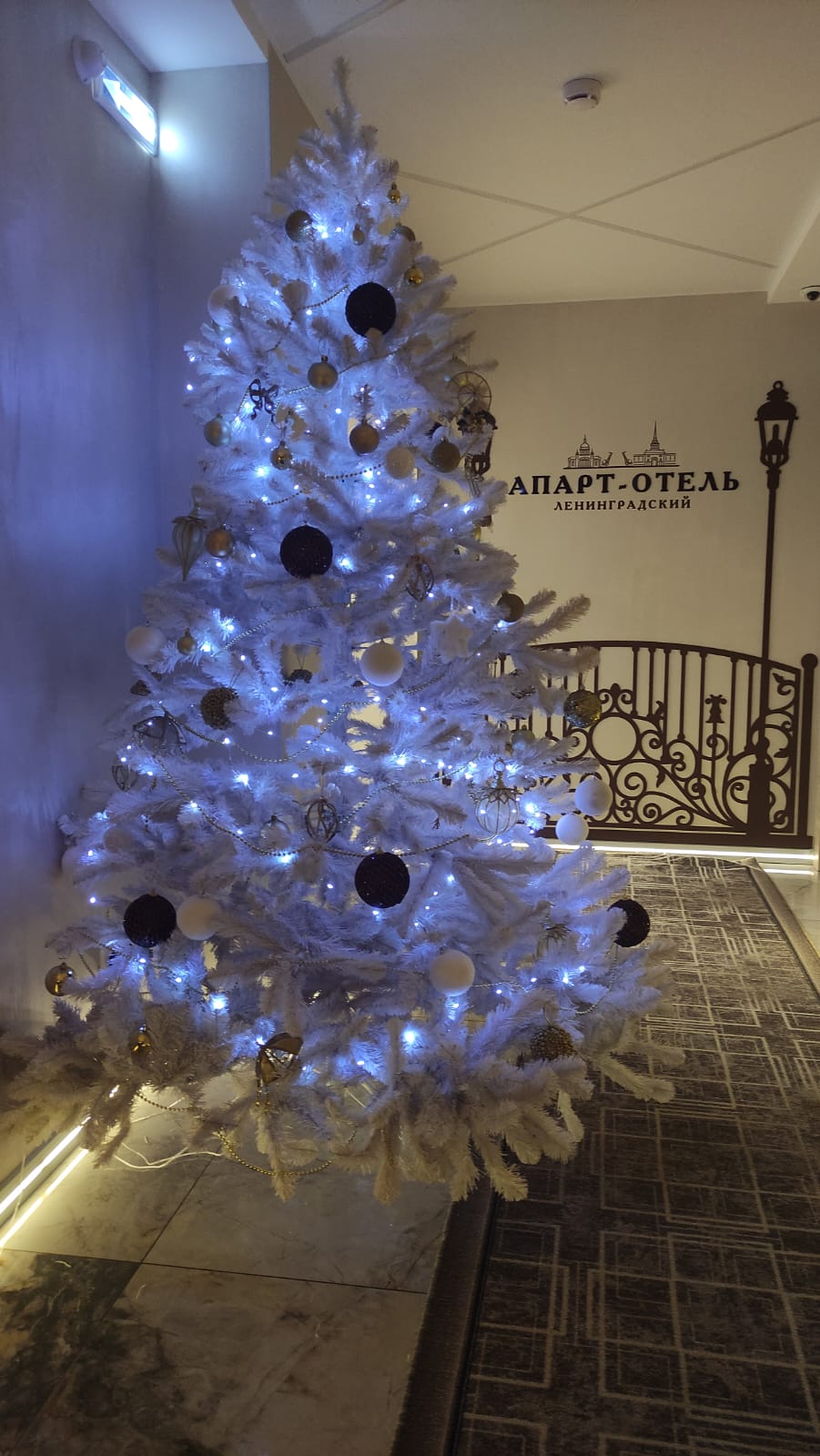 Фото Ленинградский