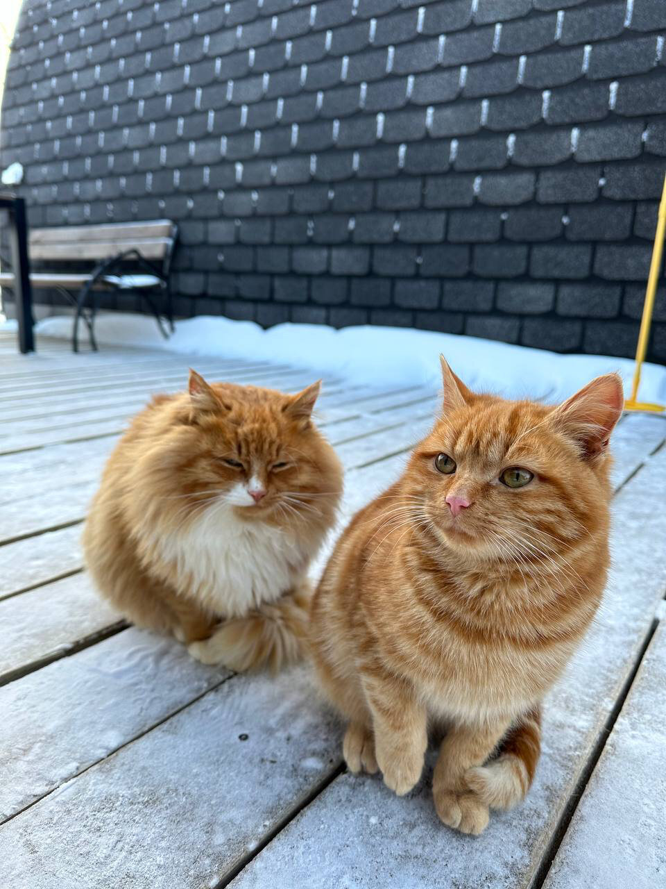 Фото Матерра