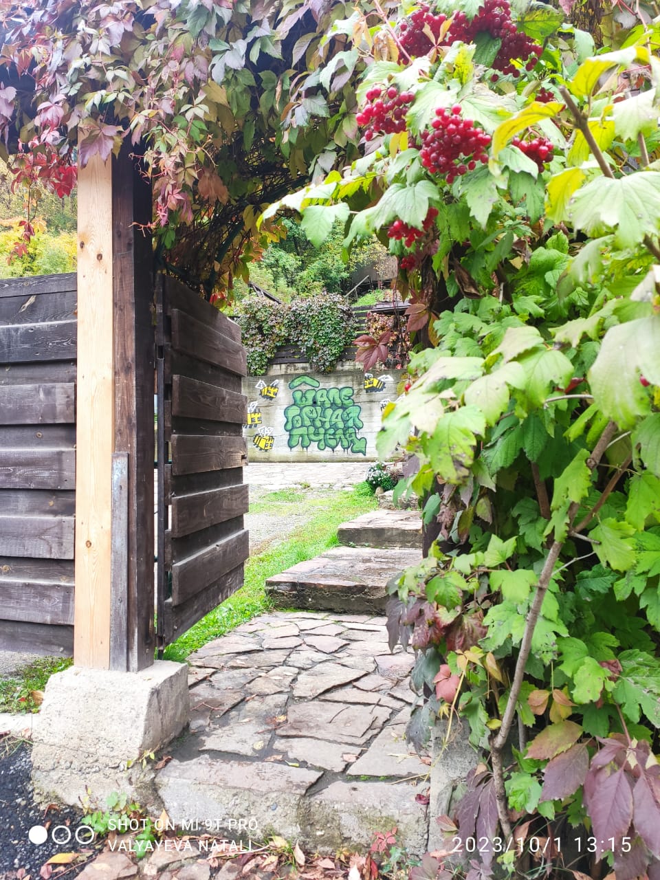 Фото Горная Пчела