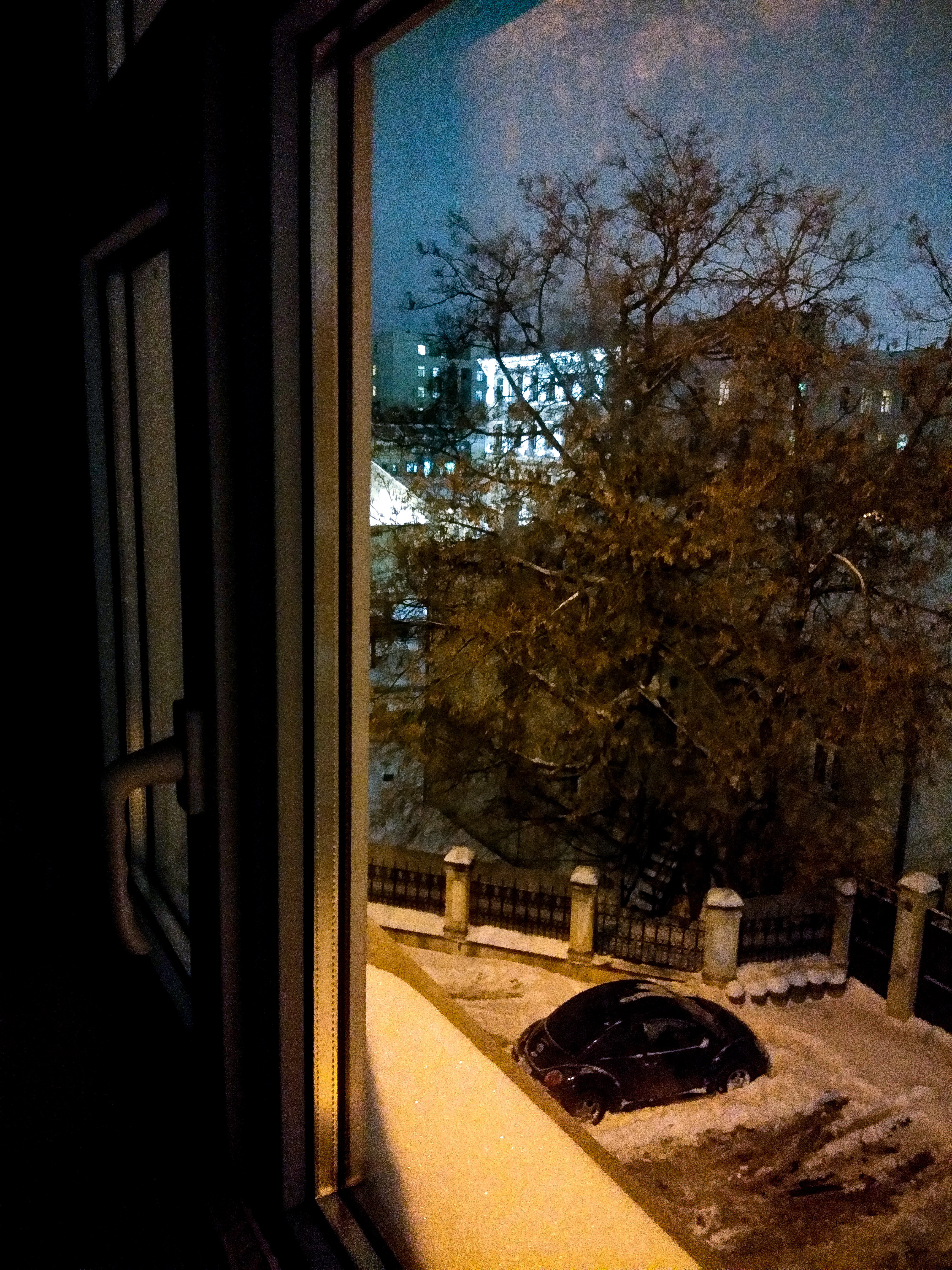 Фото City Garden