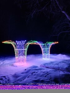 Историческая площадка Турбиностроительный завод братьев Тиме (Pskov Region, Pushkinogorskiy District, Veleyskaya volost, derevnya Zakhino), museum