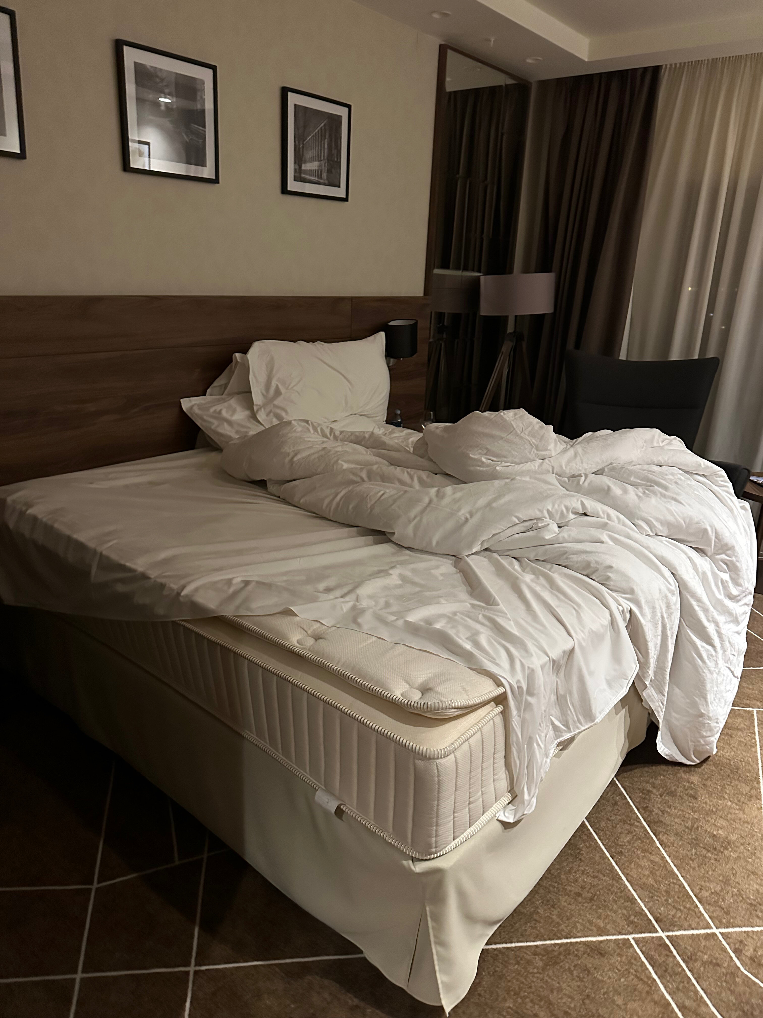 Фото Sheraton Novi Sad