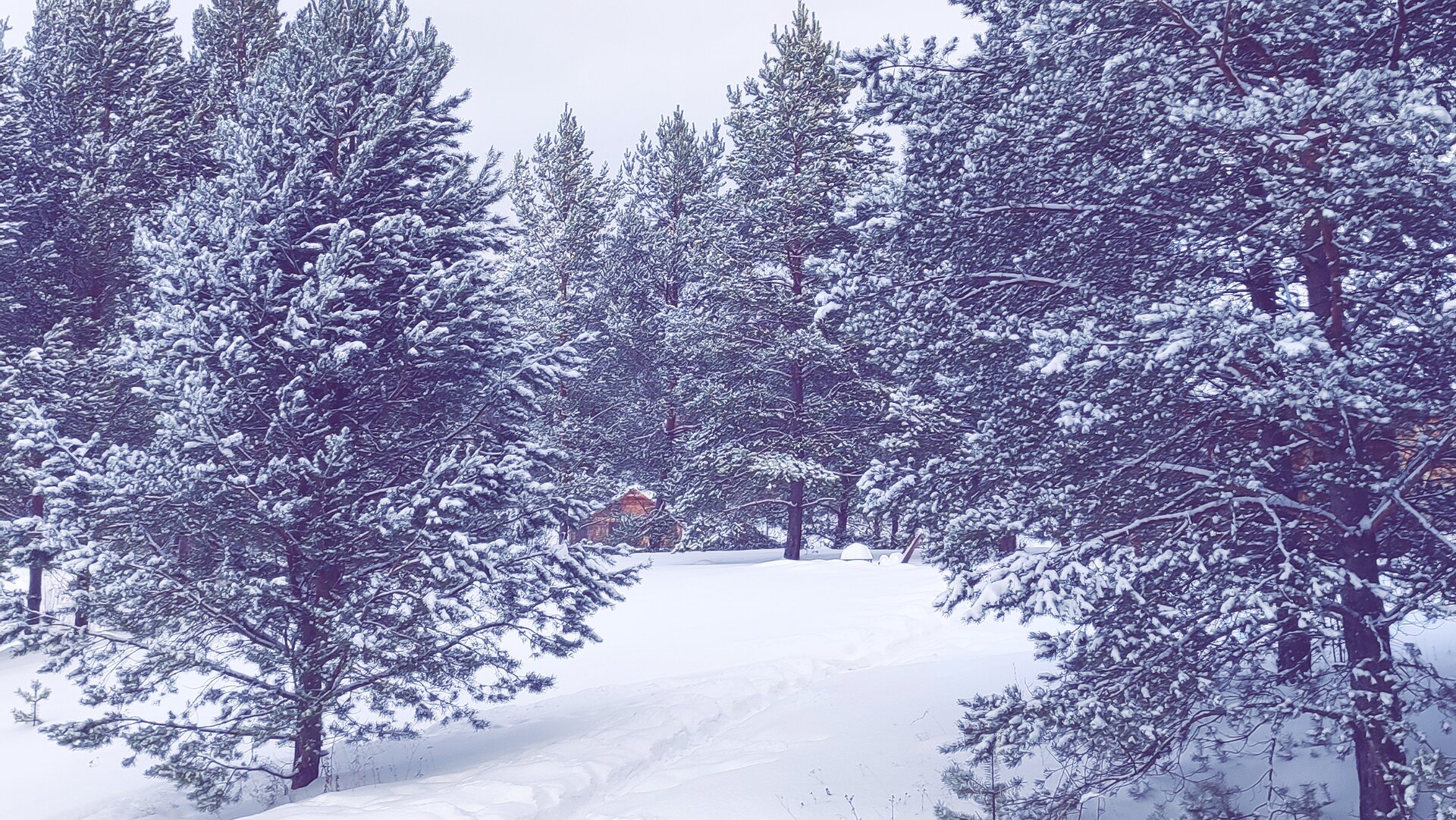 Фото Парк Чёшталей