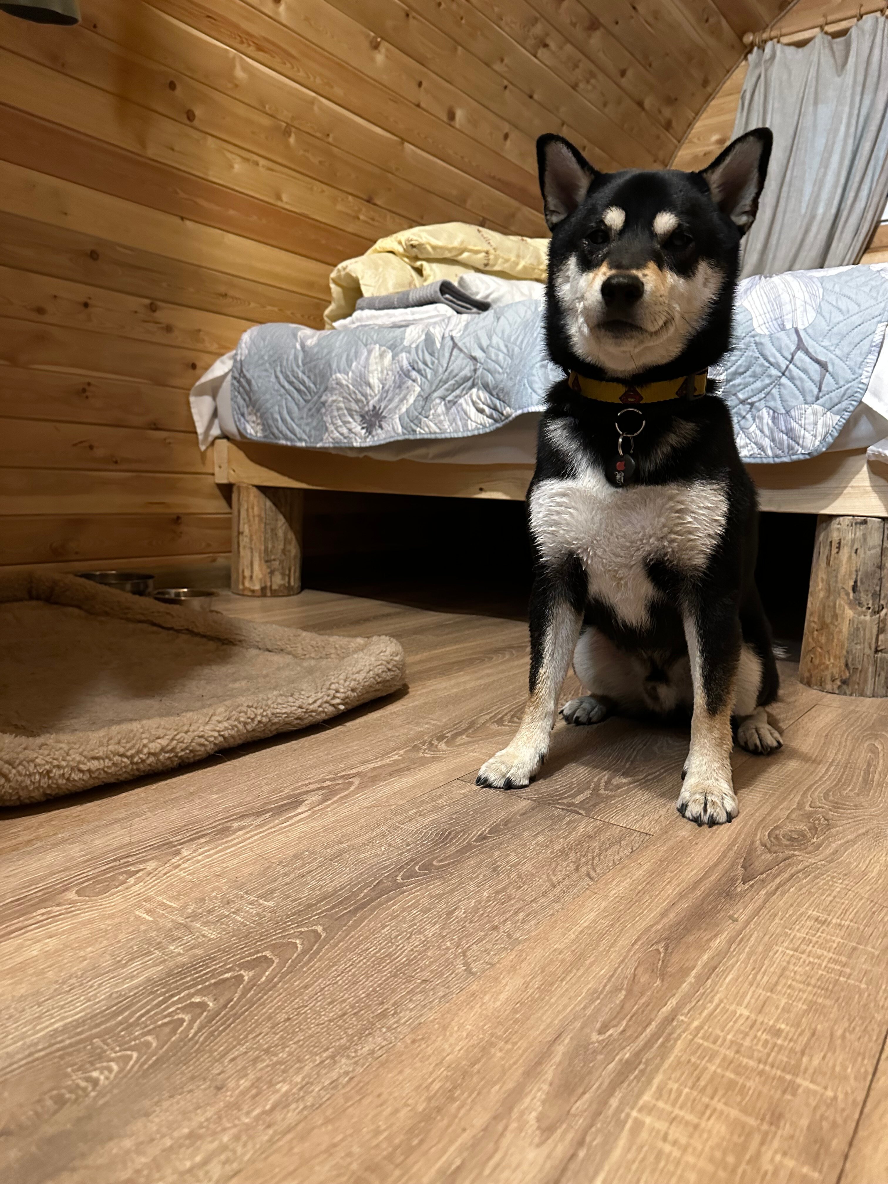 Фото Seven Лодж