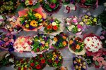 Камелия (ул. Ленина, 22, Каспийск), магазин цветов в Каспийске