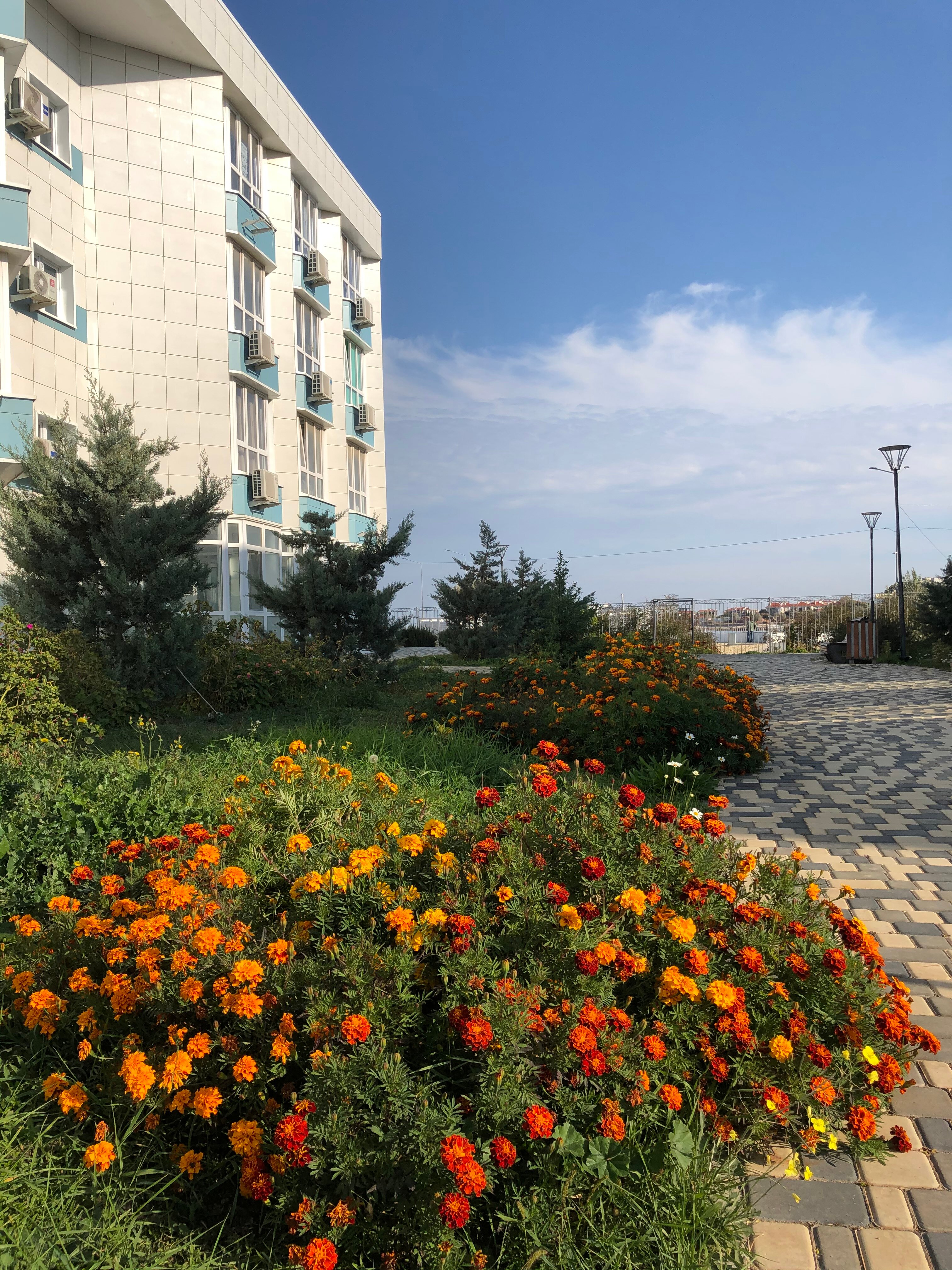 Фото Бухта Абрамова