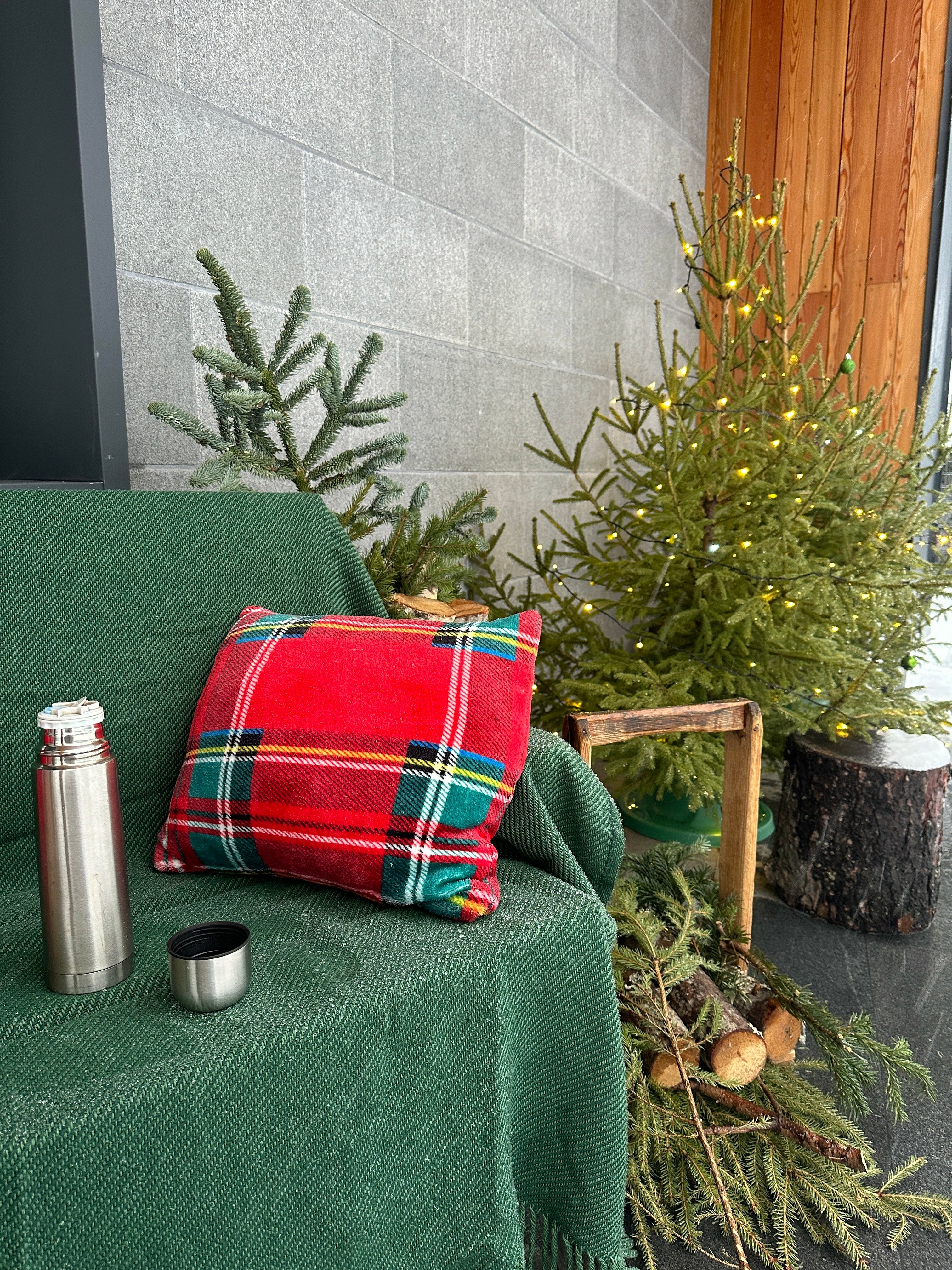 Фото Терве Ранта