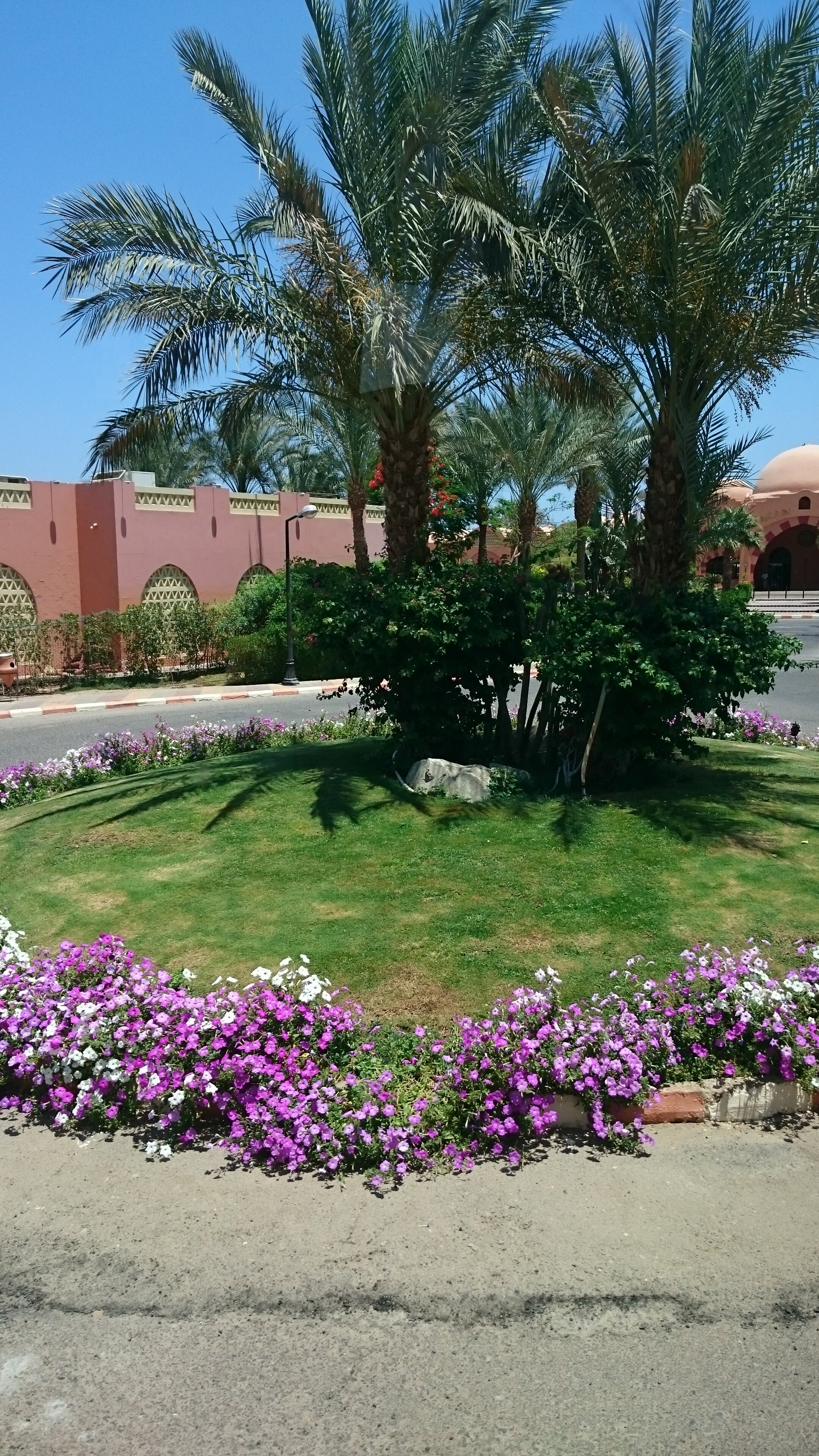 Фото Jaz Makadi Oasis Resort