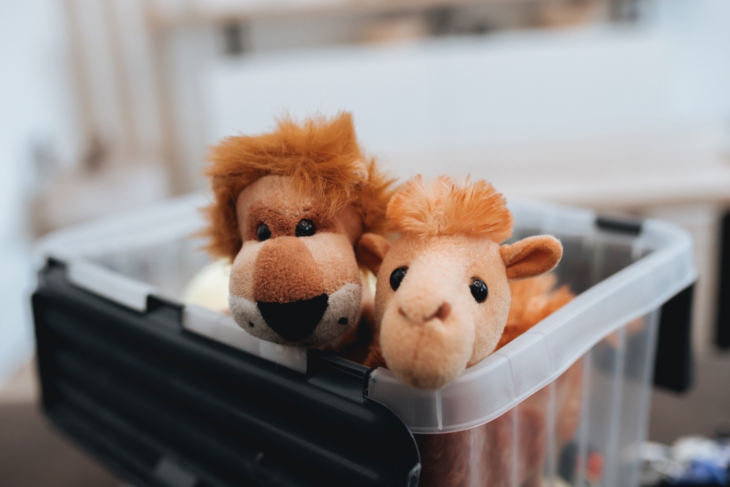 Фото ТО самое место