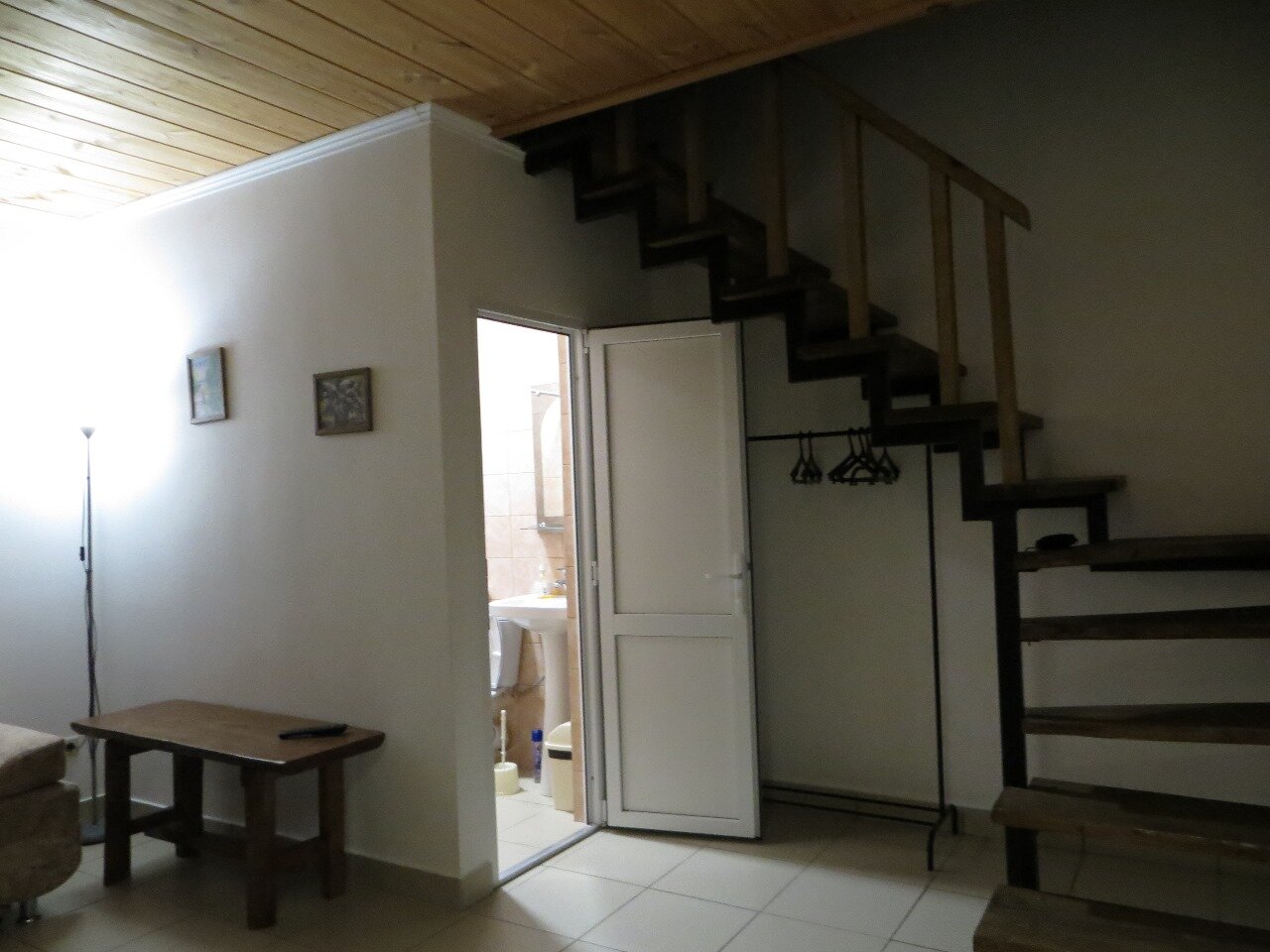 Фото Салангана