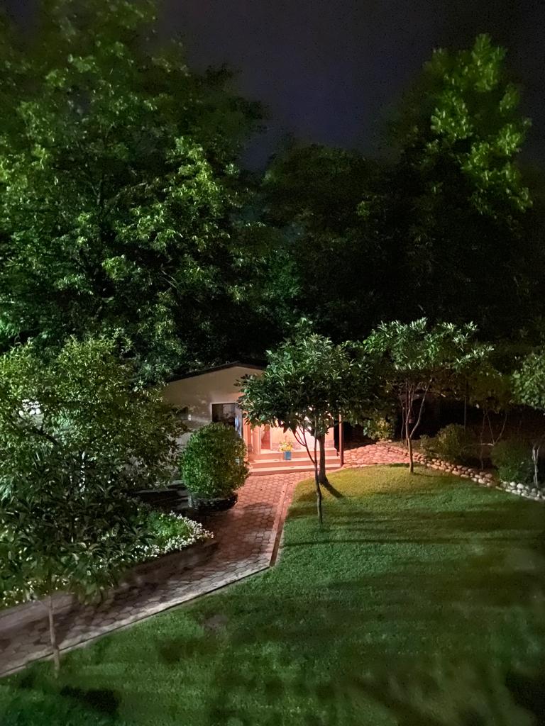 Фото Салангана