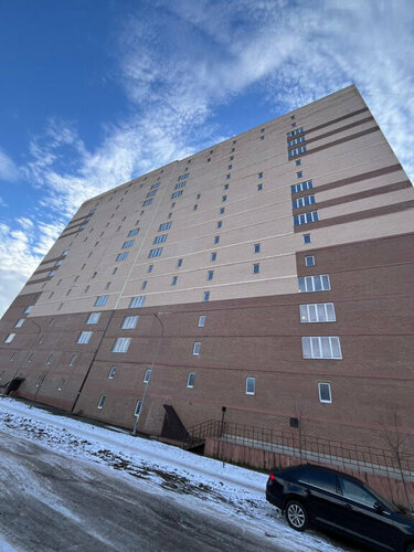 Әдемі транссексуалдар бейнеленген порно бейнелерді қараңыз