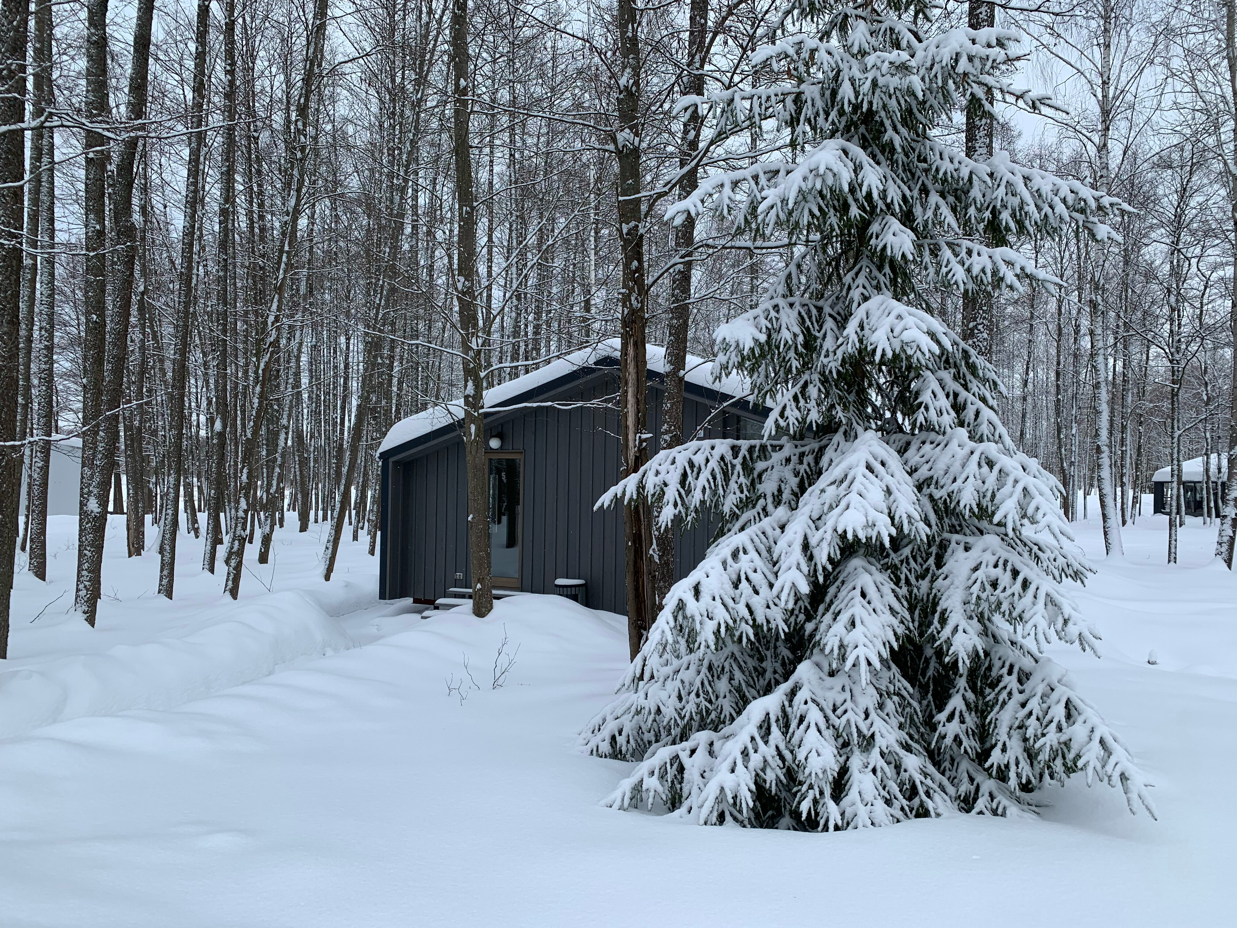 Фото Edimonovo Village