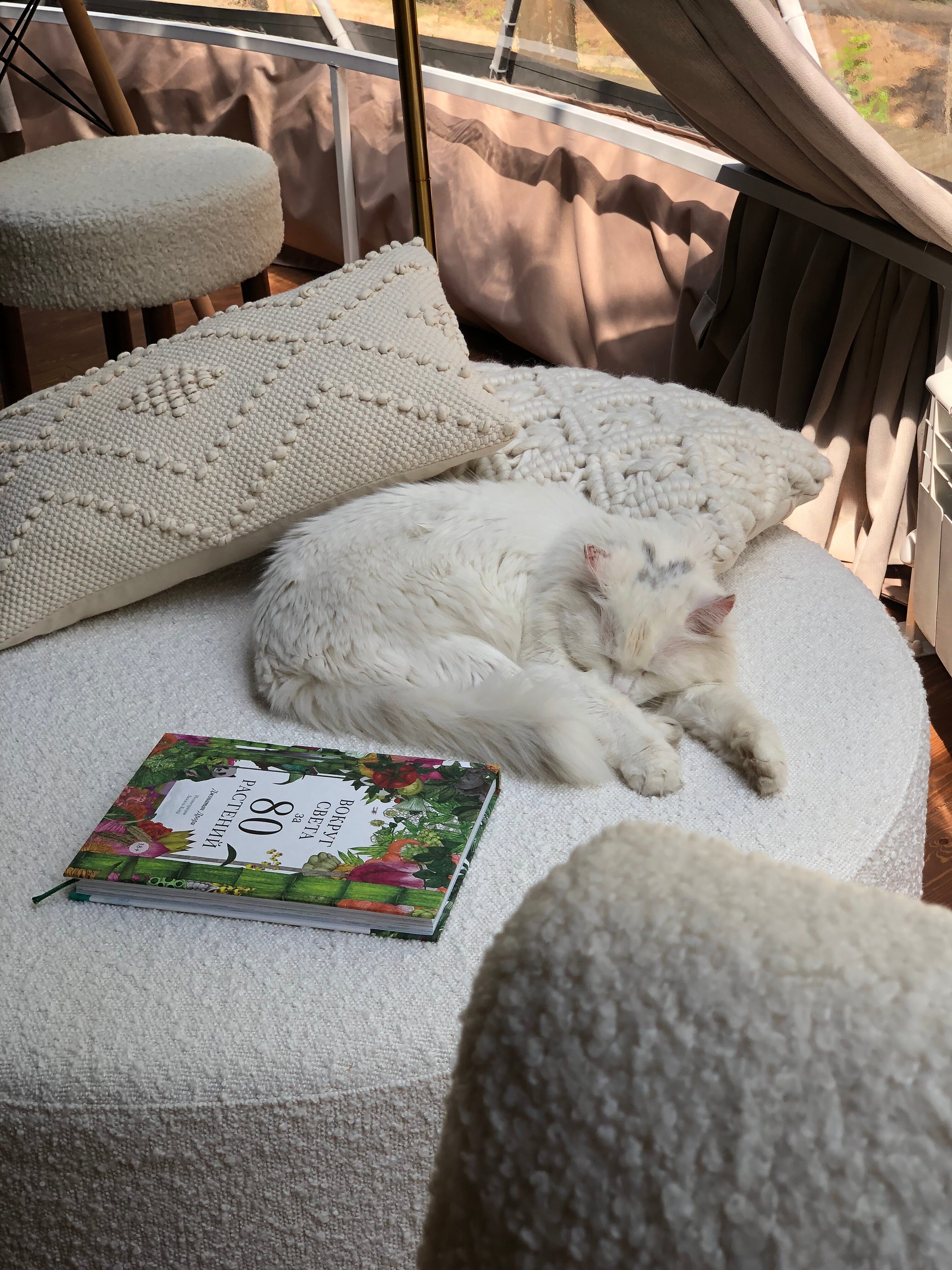 Фото Домики Иволги