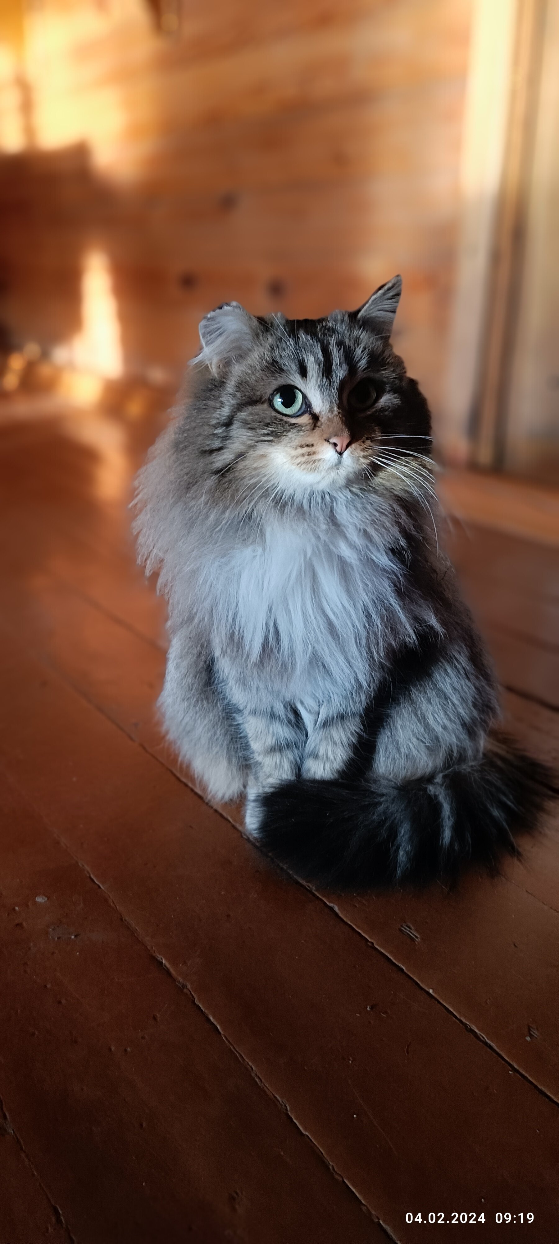 Фото Ольтрек