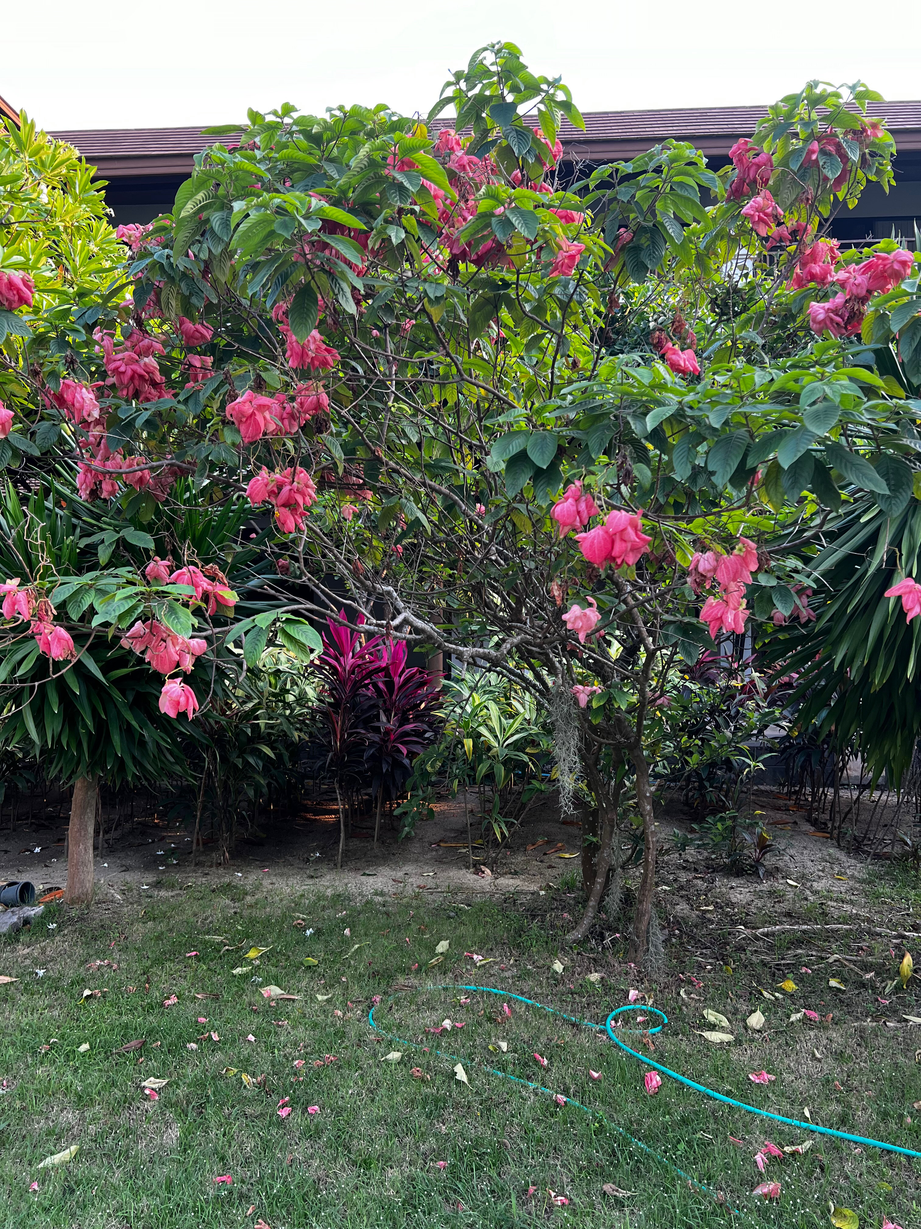 Фото Maehaad Bay Resort