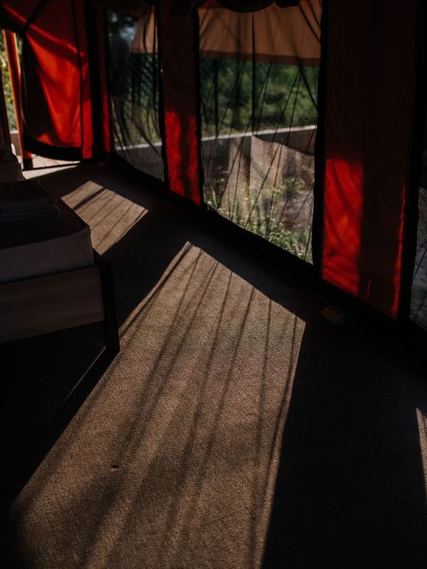 Фото Bambora glamping